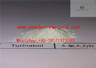 Legit Steroids Powder 4-Chlorotestosterone Acetate for Bodybuilding CAS 855-19-6