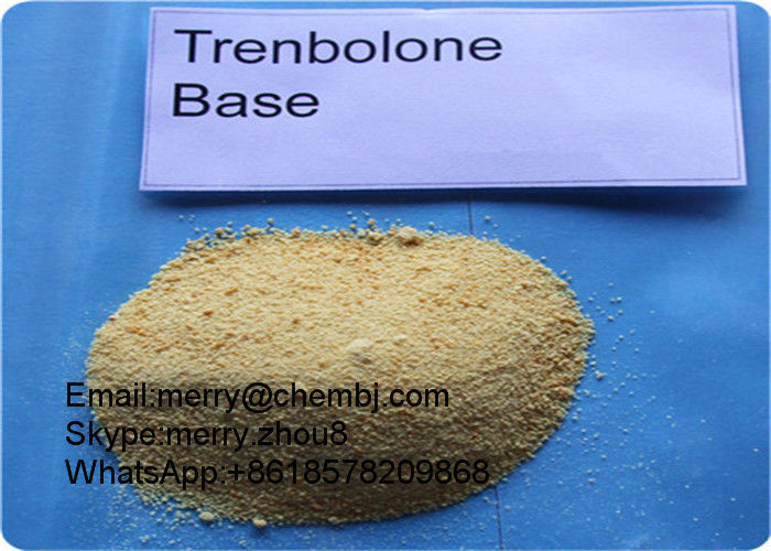 Healthy Muscle Enhancement / Bodybuilder Trenbolone Steroids CAS 10161-33-8