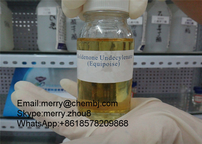 Muscle Building Steroid Yellow Liquid Boldenone Undecylenate / Equipoise CAS 13103-34-9