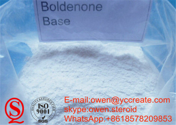 Boldenone Base Cutting Cycle Muscle Building Steroids Raw Boldenone Without Ester