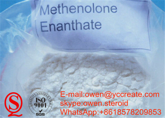 Metenolone Enanthate Bodybuilding Primobolan Depot Cutting Cycle Steroids Source