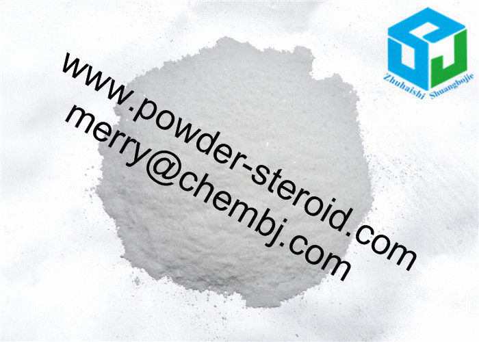 No Side Effect DHEA Pharma Raw Material Powder Dehydroisoandrosterone CAS 53-43-0