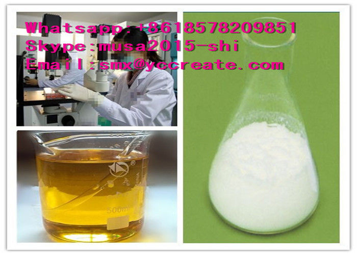 USP100%Pure Levobupivacaine Hydrochloride/   27262-48-2 Local Anesthetic Powder