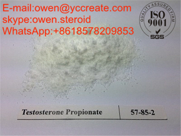 Safe Testosterone Propionate Steroid Hormone Raw Powder Anabolic Source Salt