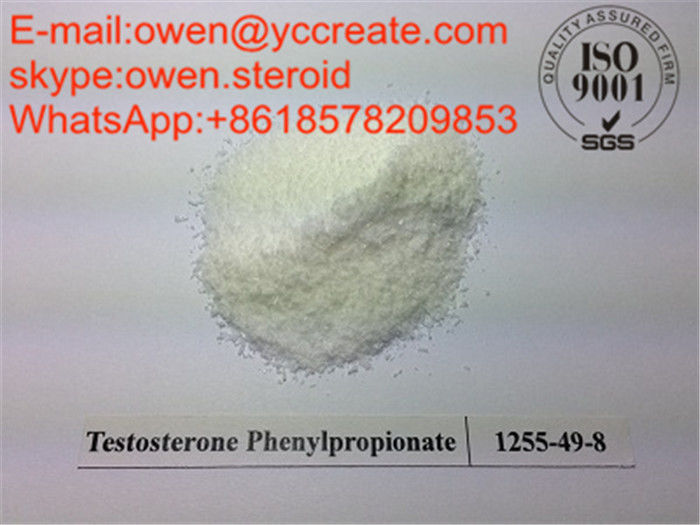 Testosterone Phenylpropionate Bodybuilding Steroid Muscle Gain Steroids Sustanon Injection Ingredient