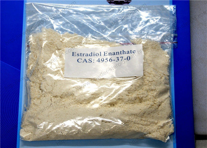 Raw Material Estradiol Enanthate / Oestradiol 17-Heptanoate CAS 4956-37-0