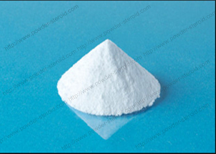 Progestogen Raw Steroid Powders Norethindrone / Norethisterone CAS 68-22-4