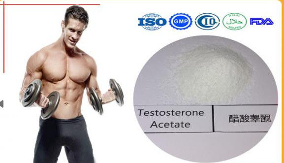 White Powder 1045-69-8 testosterone anabolic steroid testosterone acetate C21H30O3