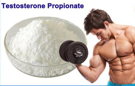 Testosterone Steroid powder Testosterone propionate CAS 57-85-2  C22H32O3