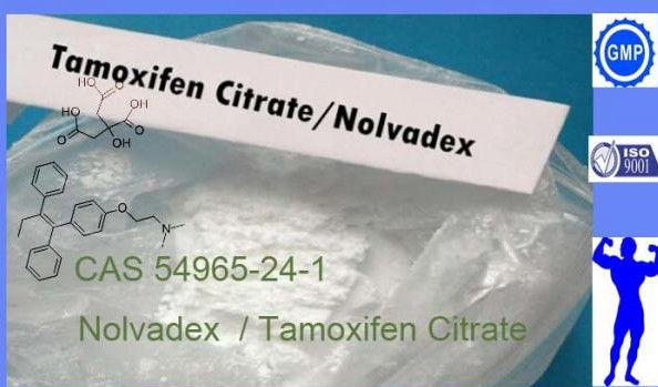 USP/BP/CP/EP Anti Estrogen Steroids powder Tamoxifen Citrate C26H29NO