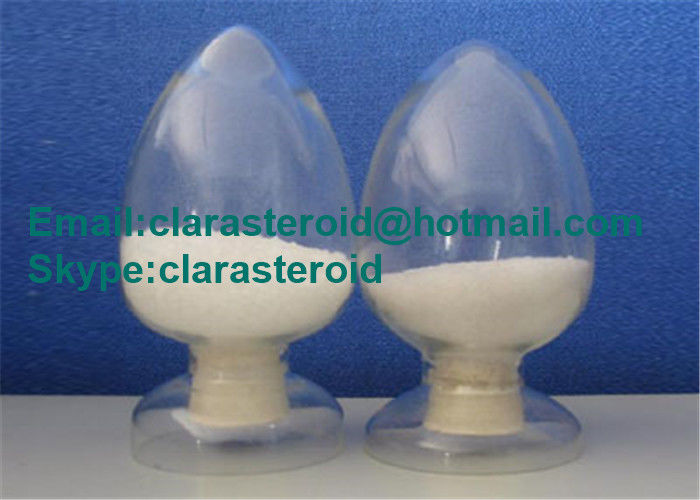 Steroid Testosterone Undecanoae Raw  Steroid Powder 5949-44-0 for Body Muscle