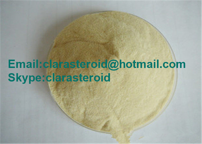 Pure Anabolic Androgenic Steroids 4-DHEA 571-44-8 , anabolic- androgen steroids
