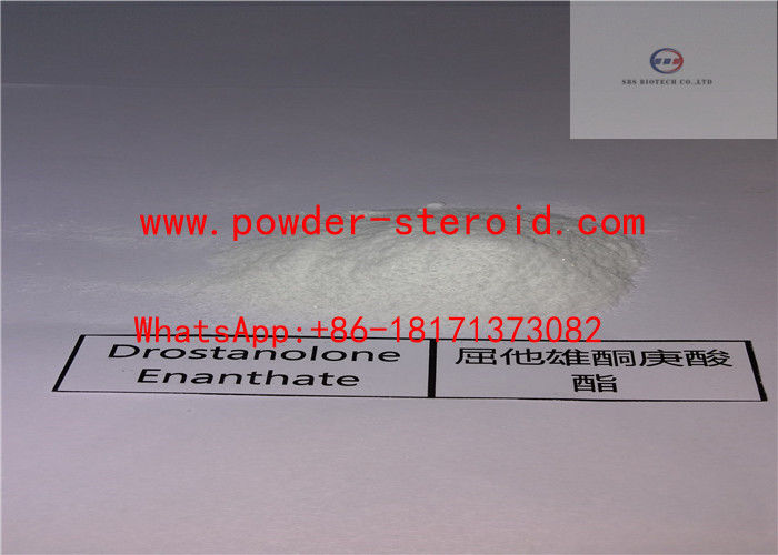 Pharmaceutical raw steroid powder Drostanolone Enanthate(CAS No 521-12-0) for bodybuilding