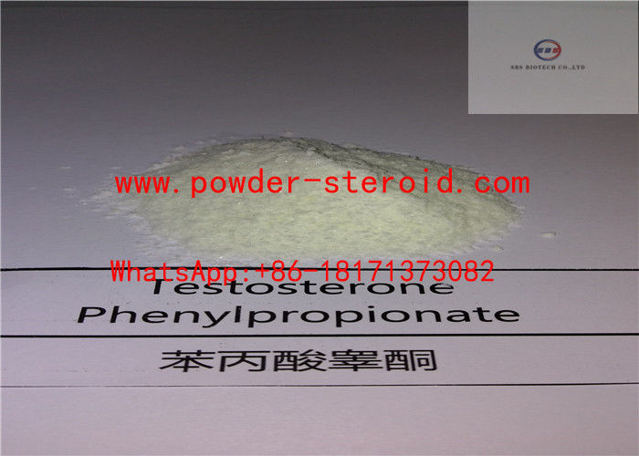 androgenic hormone Testosterone Phenylpropionate Raw Steroid Powders