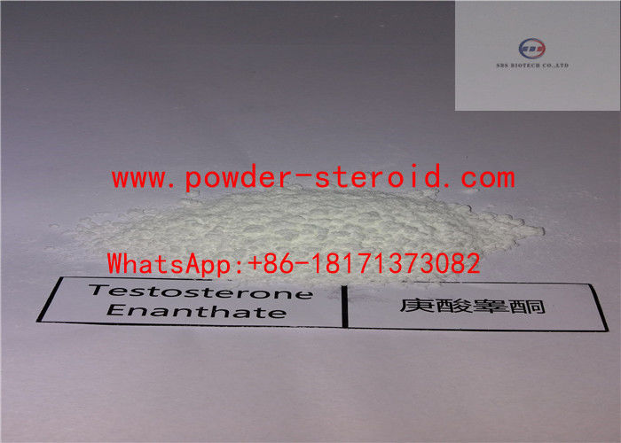 High Purity Raw Steroid Powders Testosterone Enanthate oil based injectable