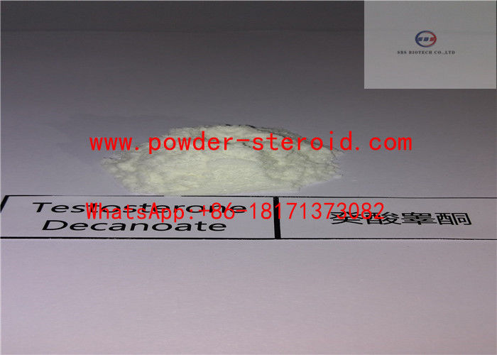 High Purity Raw Steroid Powders Testosterone Decanoate for Bodybuilding Inject Oil