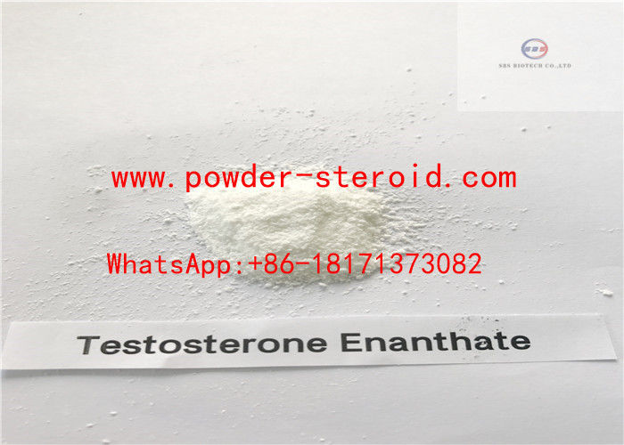 Test E Raw Steroid Powders Testosterone Enanthate For Semi-Inject Oil In White Powder