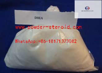 Hormone Anabolic Raw Steroid Powders Pure 7-keto DHEA