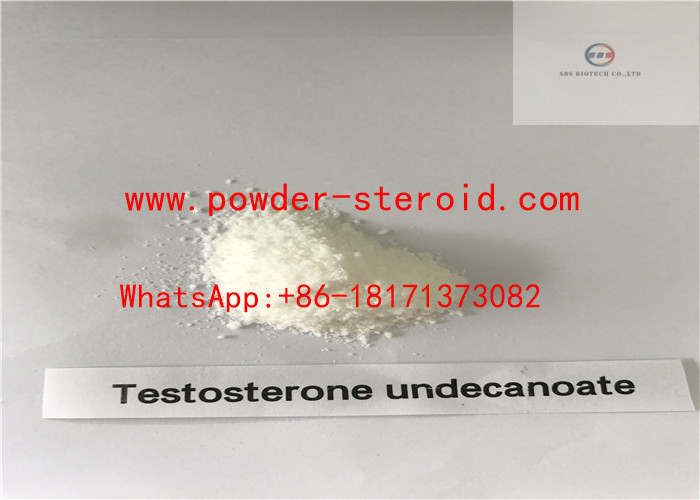 Heathy Testosterone Undecanoate Andriol Steroids powder for Muscle growth 5949-44-0