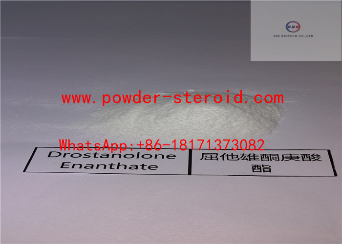 Pharmaceutical Bodybuilding Raw Steroid Powders Drostanolone Enanthate