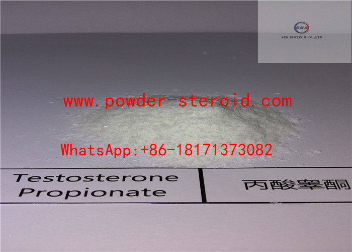 Anabolic Androgenic Steroids Hormone Testosterone propionate Powder
