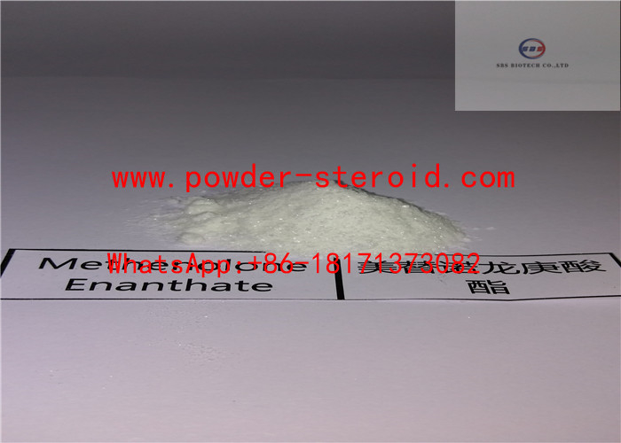 99% Purity White Sample Powder Methenolone Enanthate To Maintain Muscle
