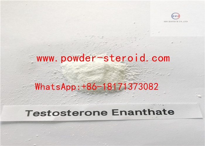 Nature Testosterone Enanthate Raw Testosterone Steroids powder for Fat Burning