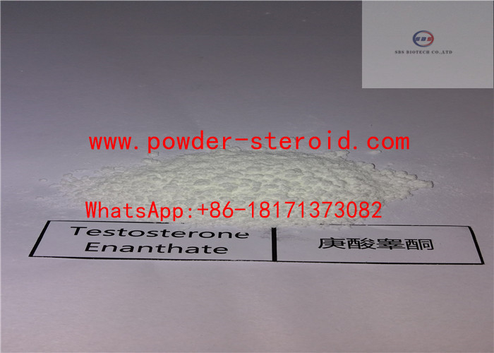 Test Enan Steroid Powder Testosterone Enanthate For Bodybuilding CAS 315-37-7