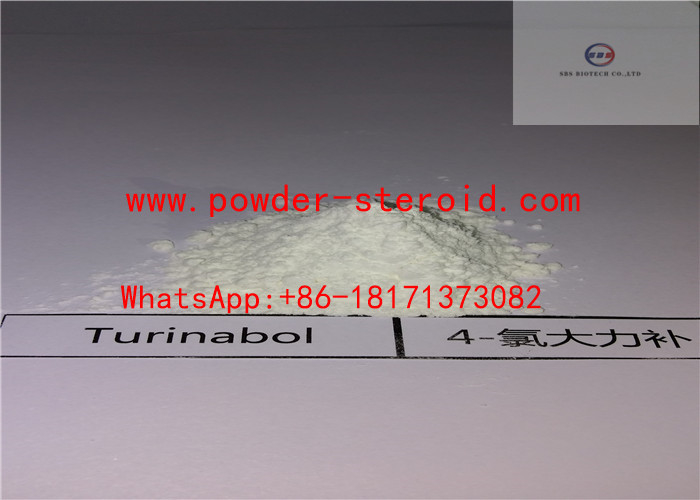 Turinabol Steroid Hormone Powder 4-Chlorodehydromethyltestosterone CAS 2446-23-3