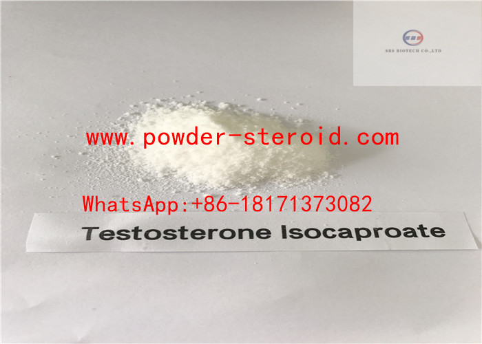 High Purity Test Iso Steroid Powder Testosterone Isocaproate For Muscle Gaining CAS 15262-86-9
