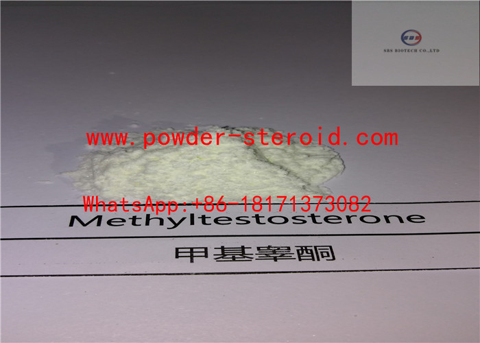 Muscle Building Testosterone Steroids 17- Methyltestosterone Raw Powder 58-18-4