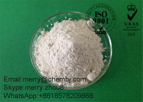 Oral SARM Pharma Raw Powder SR9009 For Lose Weight CAS 1379686-30-2