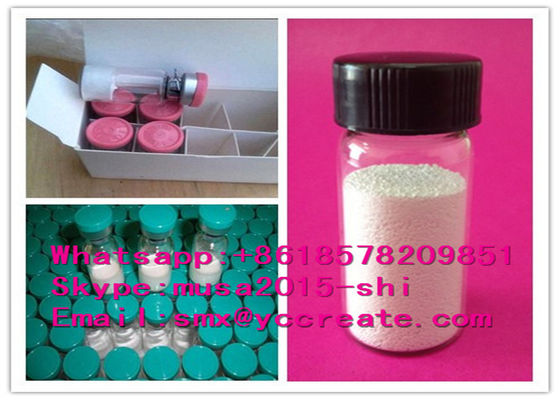 98% High Purity Raw Peptides Powder Octreotide Acetate for Treat Cancer83150-76-9