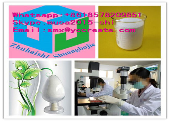 White crystalline Procaine Hydrochloride/Procaine HCl / 59-46-1 Procaine for Loacl Anesthetics