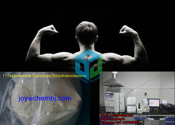 Real 1-Testosterone Cyp Dihydroboldenone DHB Powder Amazing Lean Muscle Strength Gains