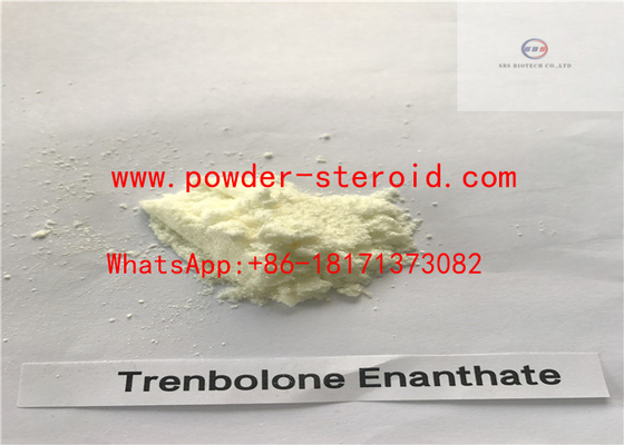 Muscle Mass Growth Raw Steriod Hormone Trenbolone Enanthate