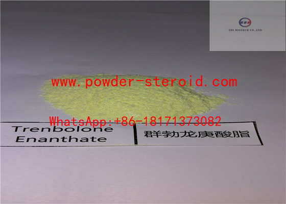 White powder Trenbolone Steroids Trenbolone CAS 10161-33-8 C18h22O2