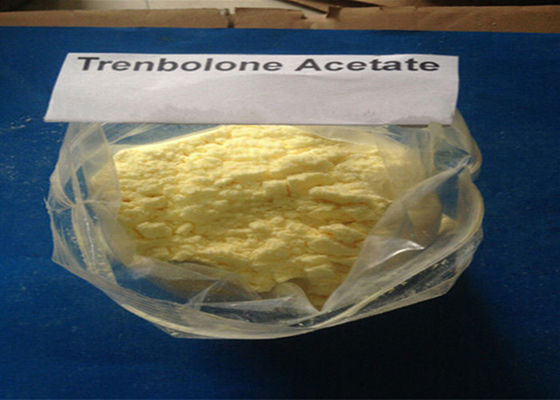 Bodybuilding Anabolic Steroid Powder Trenbolone Acetate/ Tren Ace yellow powder