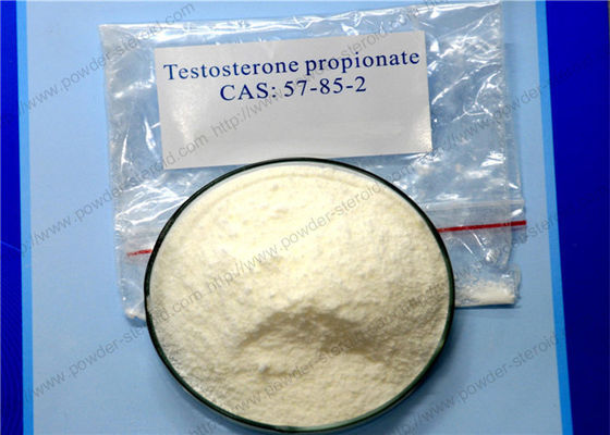 Training Powder Testosterone Steroids Testosterone Propionate CAS 57-85-2