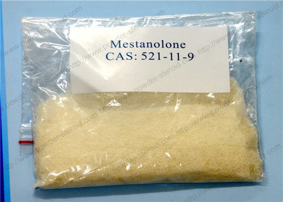 Effective Muscle Building Steroids Powder Mestanolone Acetate for Man CAS 521-11-9