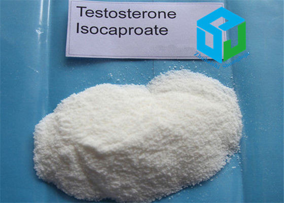 CAS 15262-86-9 Testosterone Isocaprate Raw Testosterone Steroids Powder , Dysfunction Male Sex Hormones