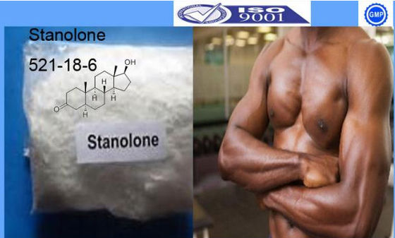 99% purity Testosterone Steroids Powder Stanolone C19H30O2 CAS 521-18-6