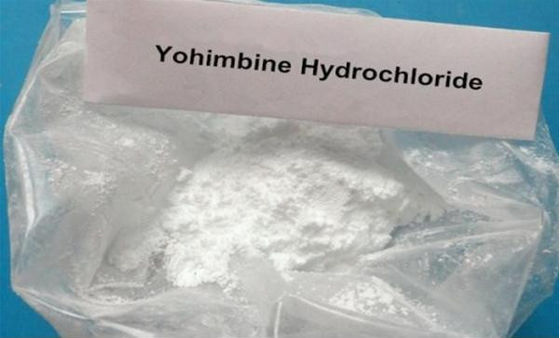 White Male Hormones powder yohimbine hcl C21H27ClN2O CAS 65-19-0