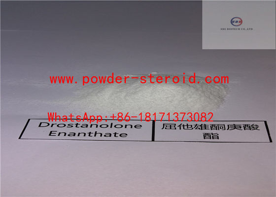 Pharmaceutical raw steroid powder Drostanolone Enanthate(CAS No 521-12-0) for bodybuilding