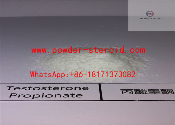 Anabolic Steroid Powder Testosterone Propionate , Effective steroids build muscle