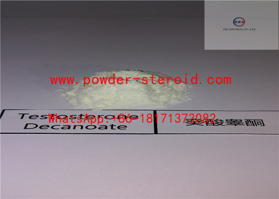 Effective Muscle Enhancing Steroids / Anabolic Steroid Powders Testosterone Decanoate In White