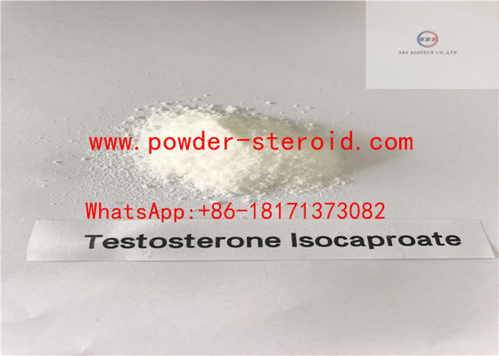Testostero Steroid Testosterone Isocaproate In White Powder For Muscle Building