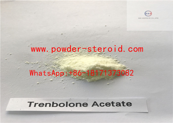Bodybuilding Anabolic Steroid Powder Trenbolone Acetate/ Tren Ace yellow powder