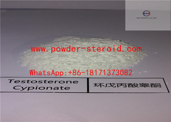 White Powder Androgenic Steroids Testosterone Cypionate In Cutting Cycle,58-20-8