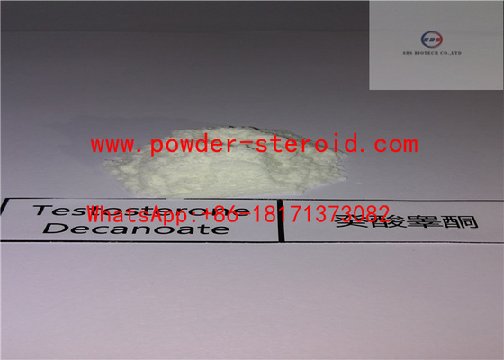 Medicine Raw Material Powder Testosterone Steroids Testosterone Decanoate CAS 5721-91-5